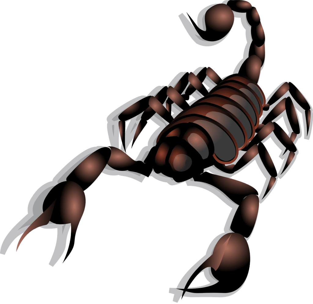 What Do Scorpions Symbolize in the Bible
