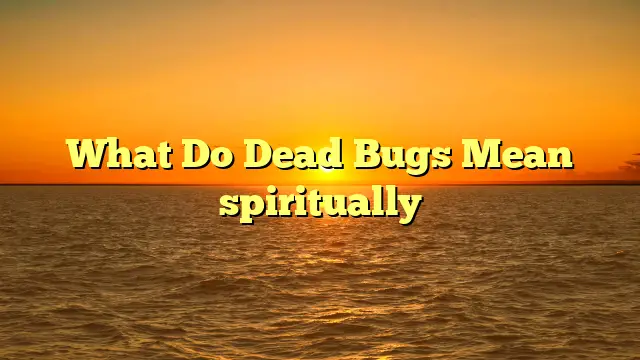 What Do Dead Bugs Mean Spiritually?