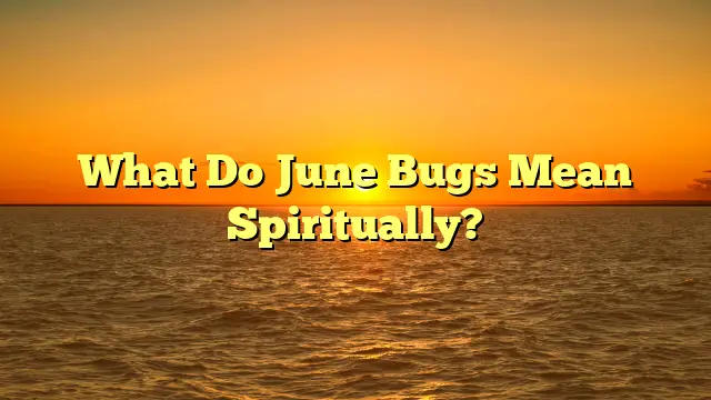 What Do June Bugs Mean Spiritually?