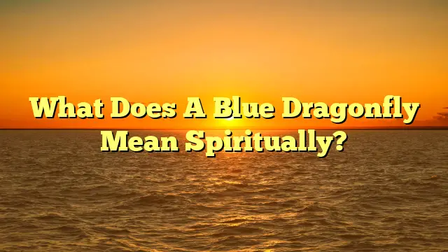 What Does A Blue Dragonfly Mean Spiritually?
