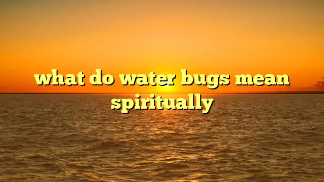What Do Water Bugs Mean Spiritually?