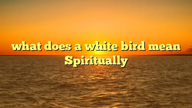 What Does A White Bird Mean Spiritually?
