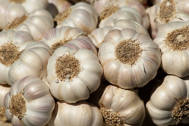 What Does The Smell Of Garlic Mean Spiritually In The Bible?