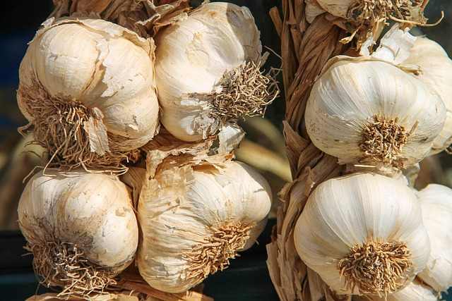 What Does Garlic Mean In A Dream?